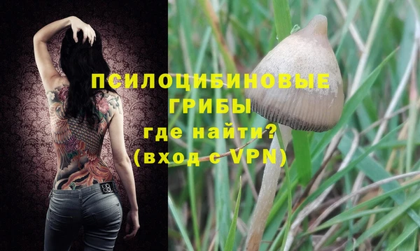 амфетамин Алексеевка