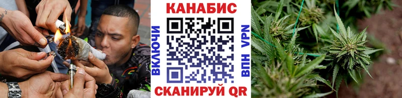 Бошки марихуана THC 21%  mega рабочий сайт  Емва 